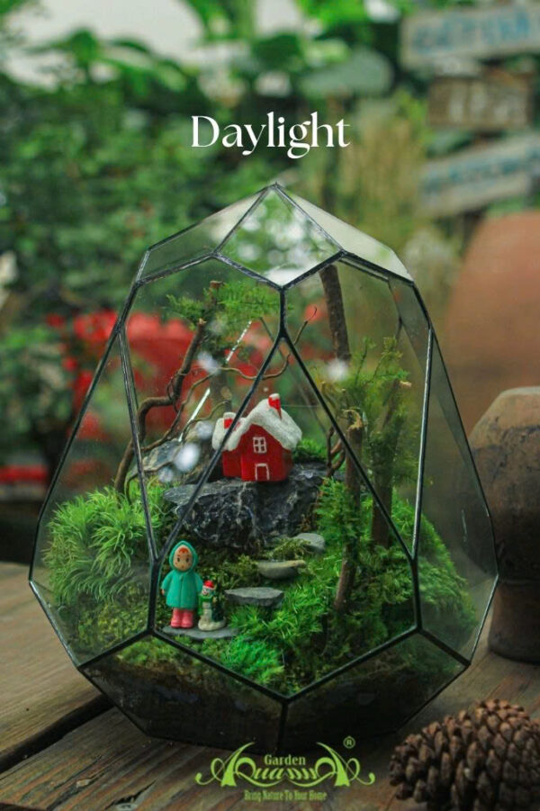 Terrarium 10 - DAYLIGHT