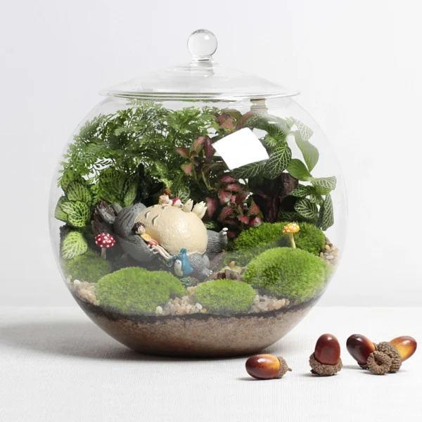 Terrarium 300 - Dạo chơi cùng Totoro